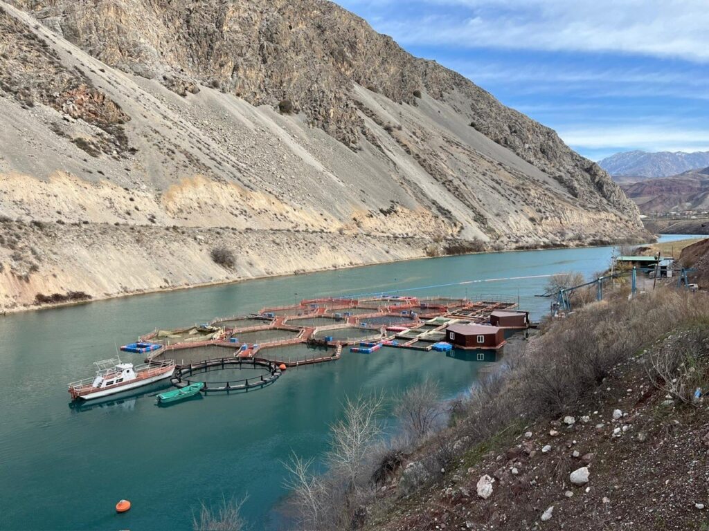 Vuoren juurella on kapea vesialue, jossa on kalankasvatuslaitos ja veneitä. Taustalla näkyy vuoristoa.
